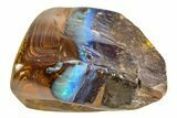 Galactic Boulder Opal Specimen - Queensland, Australia #351904-1